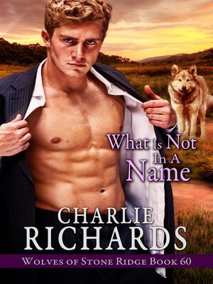 cover image of What is Not in a Name